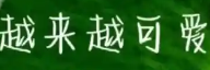 汽车网